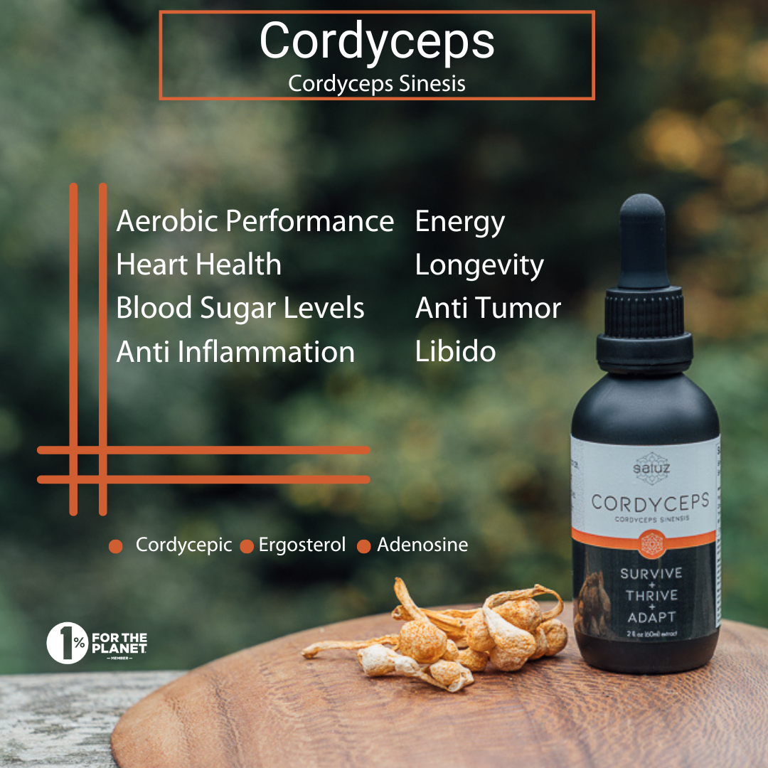 Energy + Performance + Longevity + Weight Loss Pairing-3